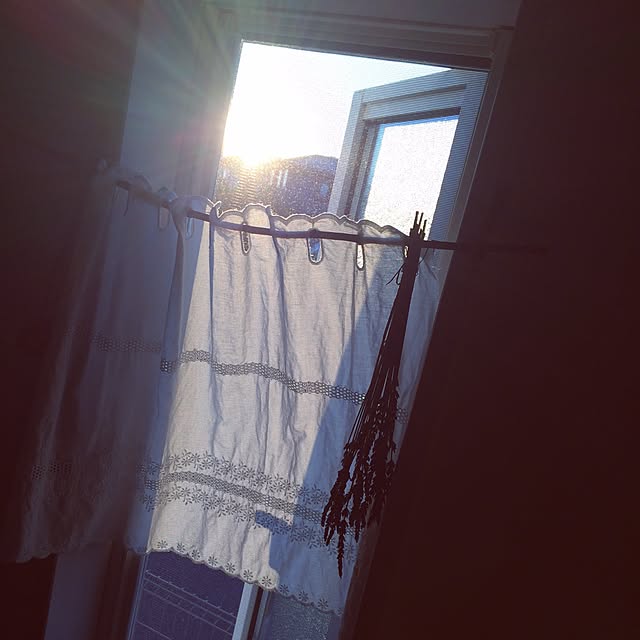 shomiさんの実例写真