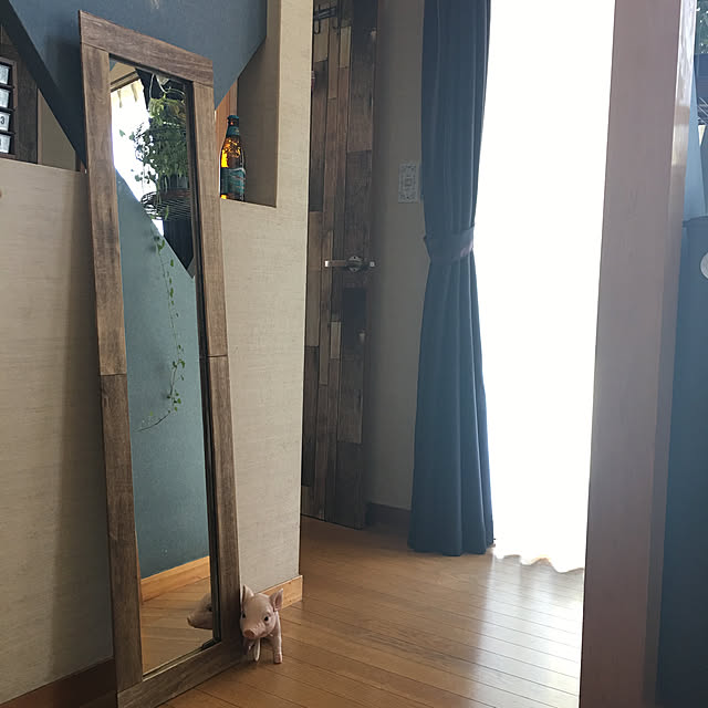 hisaさんの実例写真