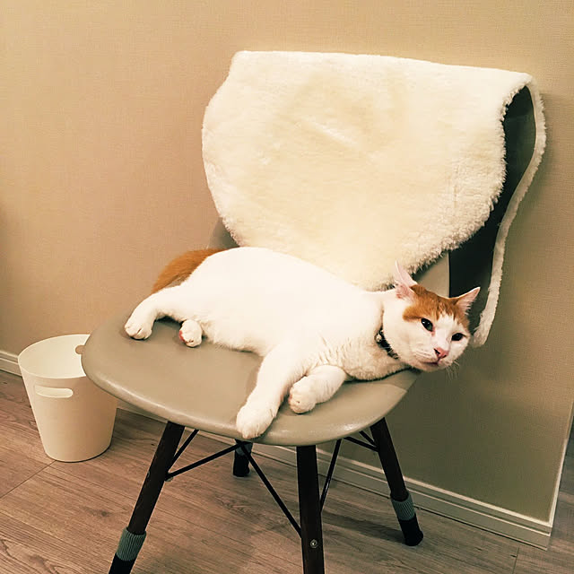 nawokoさんの実例写真