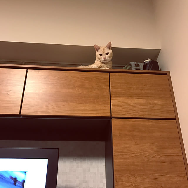 hiyupan88さんの実例写真