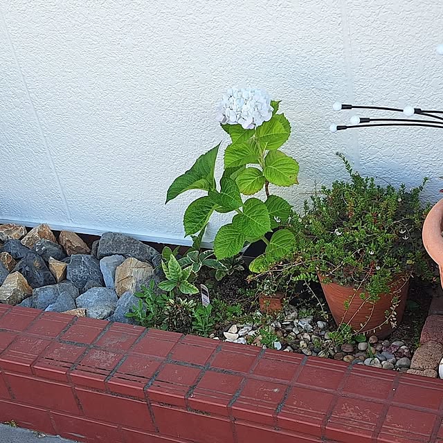 hanapanさんの実例写真