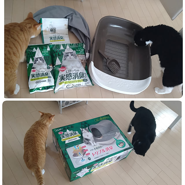 koromaroさんの実例写真