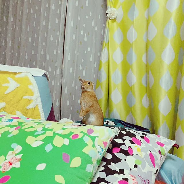 waga818さんの実例写真