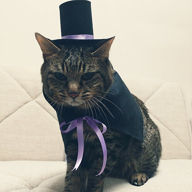 kittenblueさんの実例写真