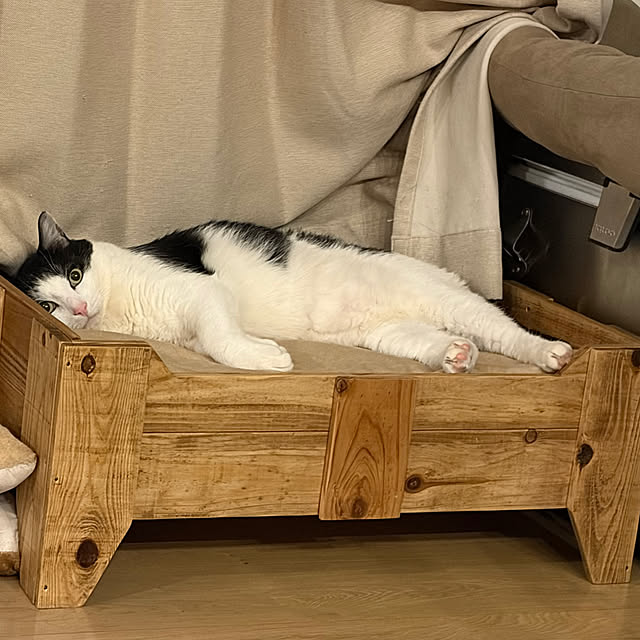 aokiiroさんの部屋