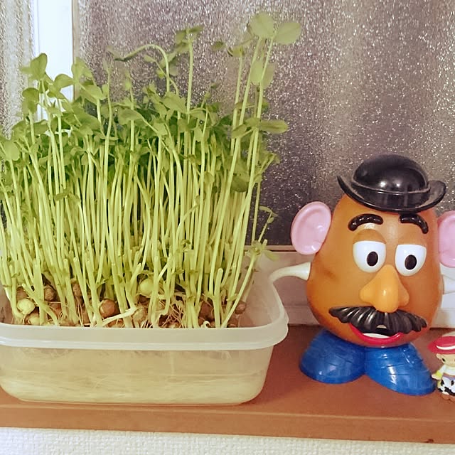 chanmiさんの実例写真