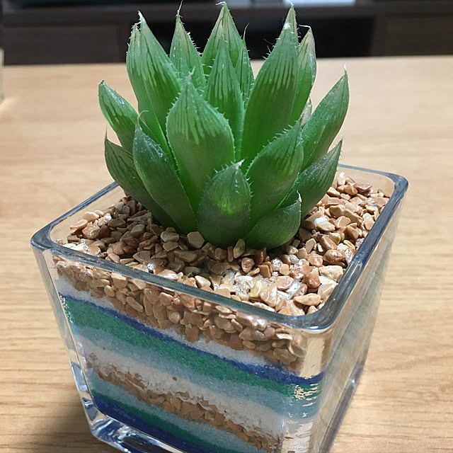 uyaさんの実例写真