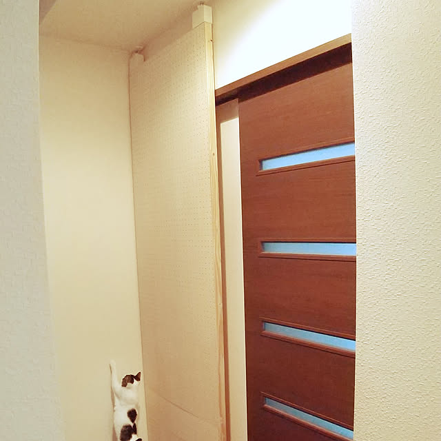 Mikaさんの実例写真