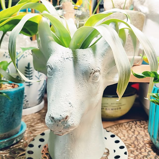 nacchanさんの実例写真