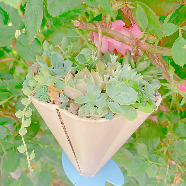 Hanakaさんの実例写真