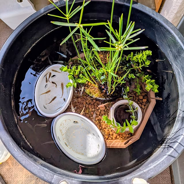 mi-saさんの実例写真