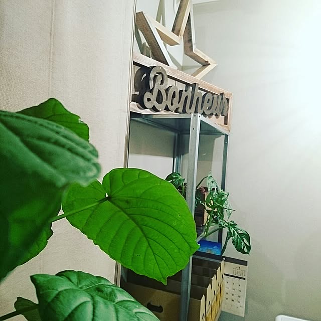 cafe-plageさんの実例写真