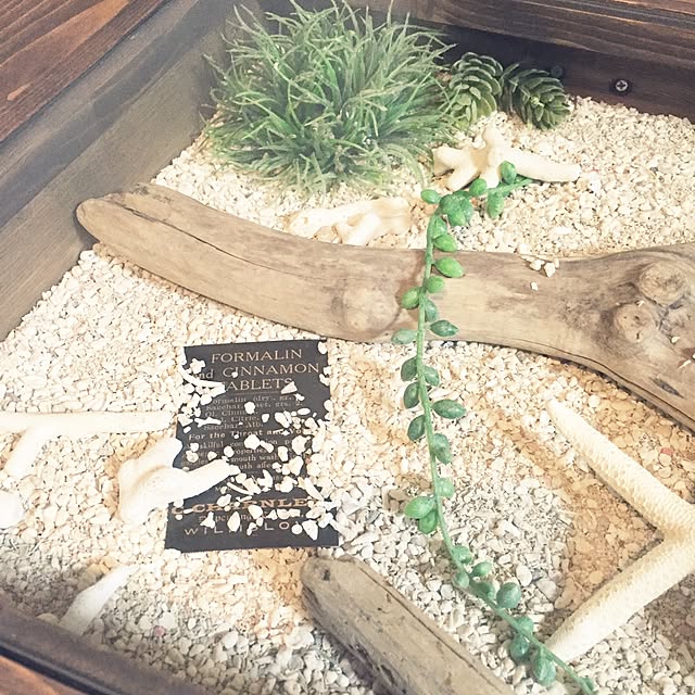 pinokoさんの実例写真