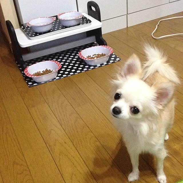 honeyさんの実例写真