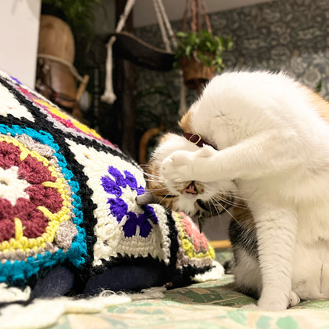 Maruさんの実例写真
