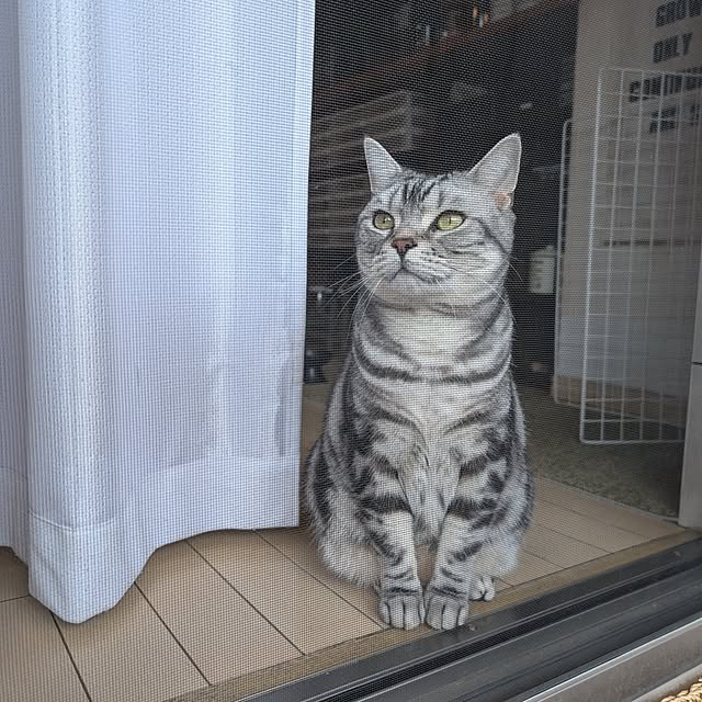 lovepeaceさんの部屋