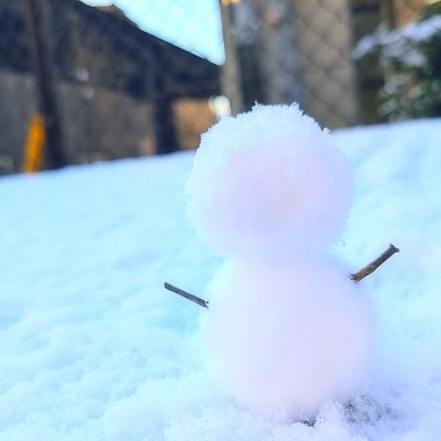 harumoeさんの実例写真