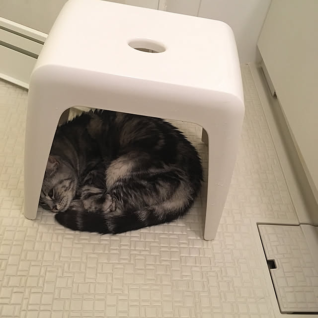 mikomaruさんの実例写真