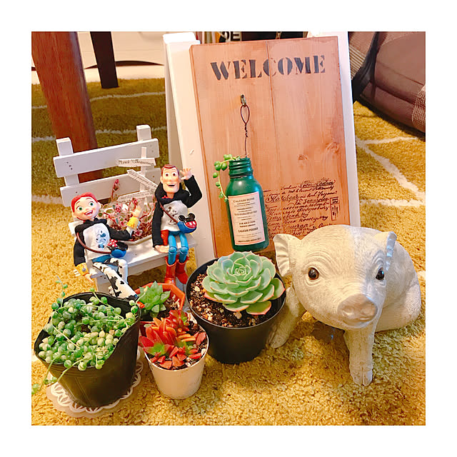 chipiroさんの実例写真