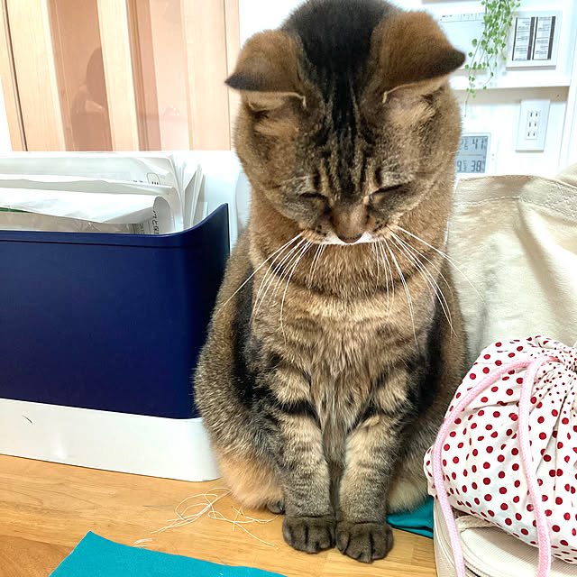 kirinsanさんの実例写真