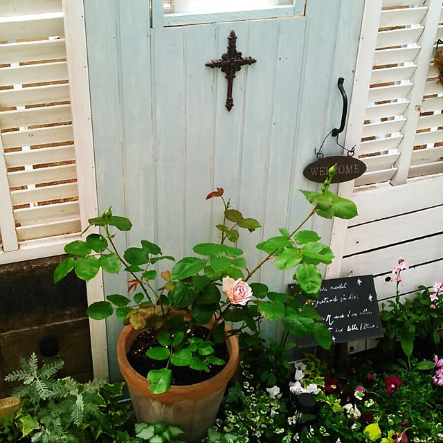 kintoto07さんの実例写真