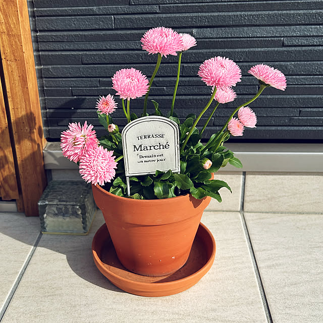 yukimidaifukuさんの実例写真