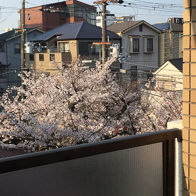 sachiyo0915さんの実例写真