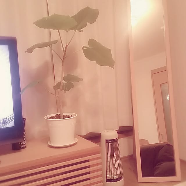tomamaさんの実例写真