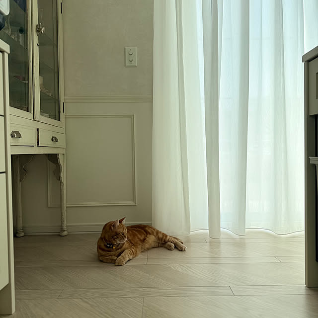 m623さんの実例写真