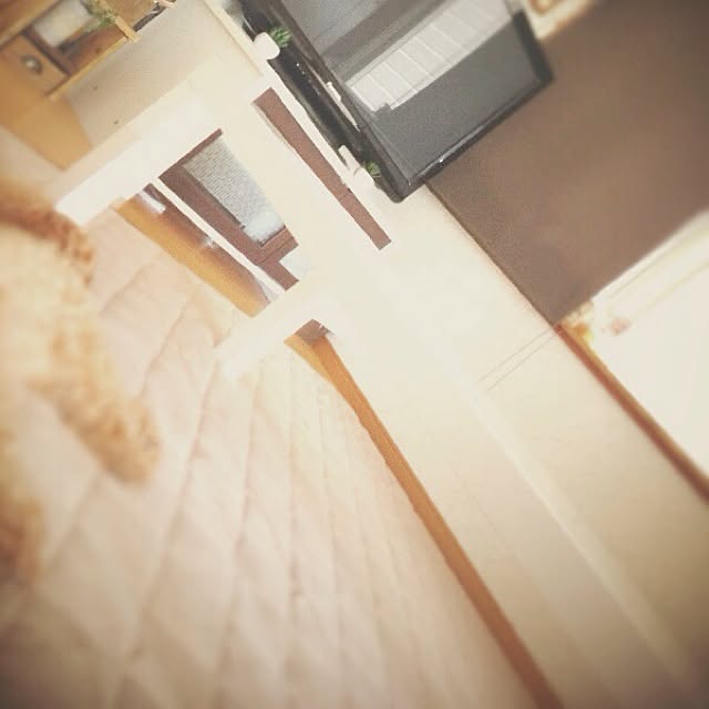rookuさんの実例写真
