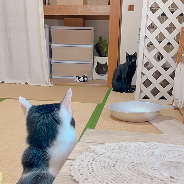 harukaさんの実例写真