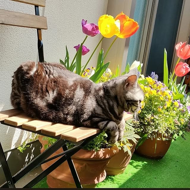 Yoko622さんの部屋