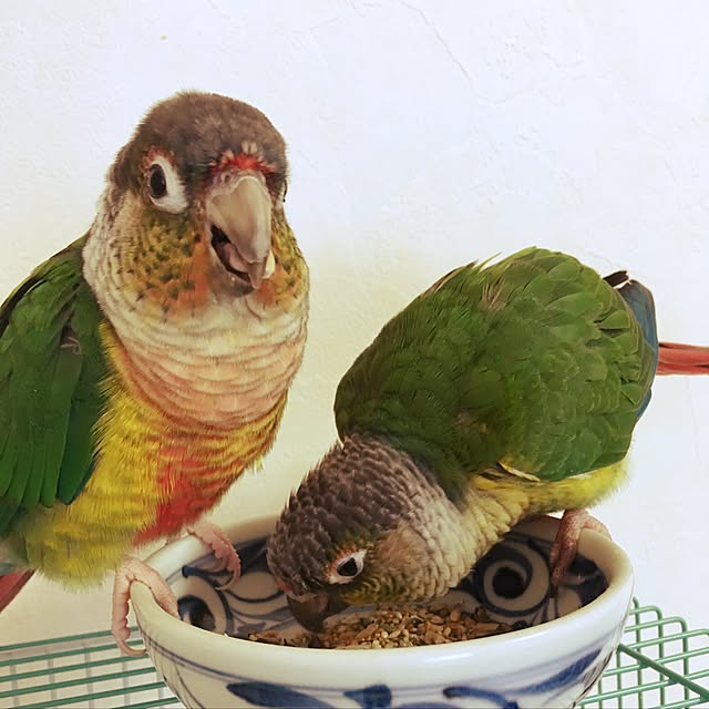 MEILIEさんの実例写真