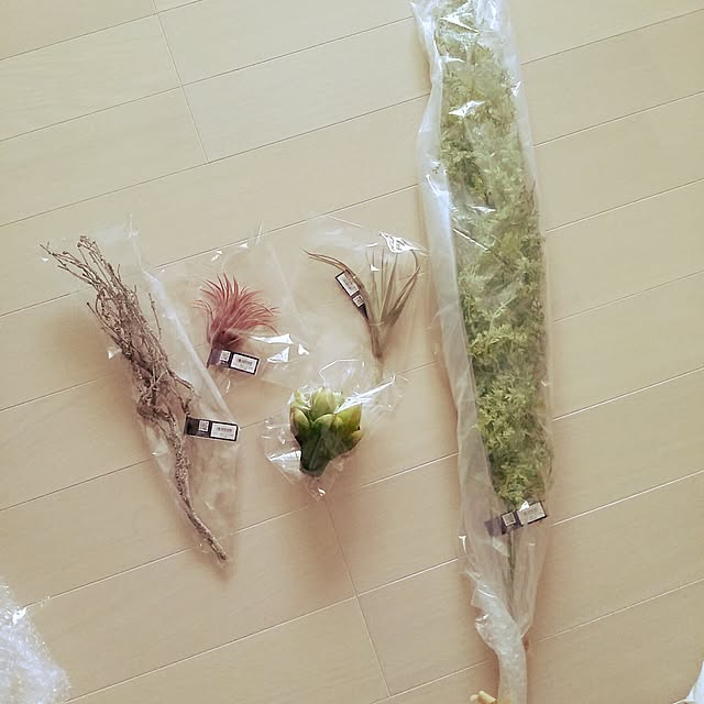 NEREさんの実例写真