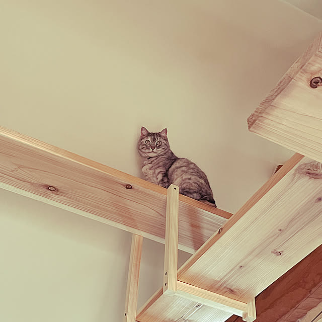 COCOさんの実例写真