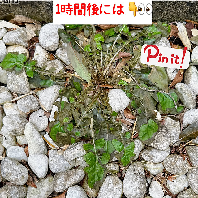 miyuさんの部屋