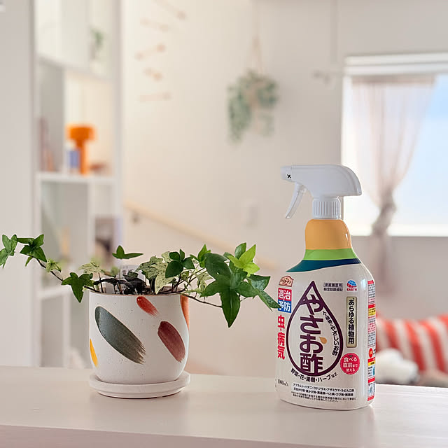 mri96さんの部屋