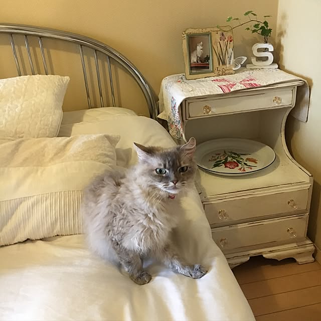 sakuracoさんの実例写真