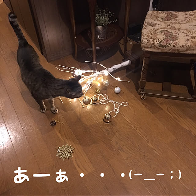 chikaさんの実例写真