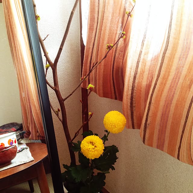 MiUkiさんの実例写真