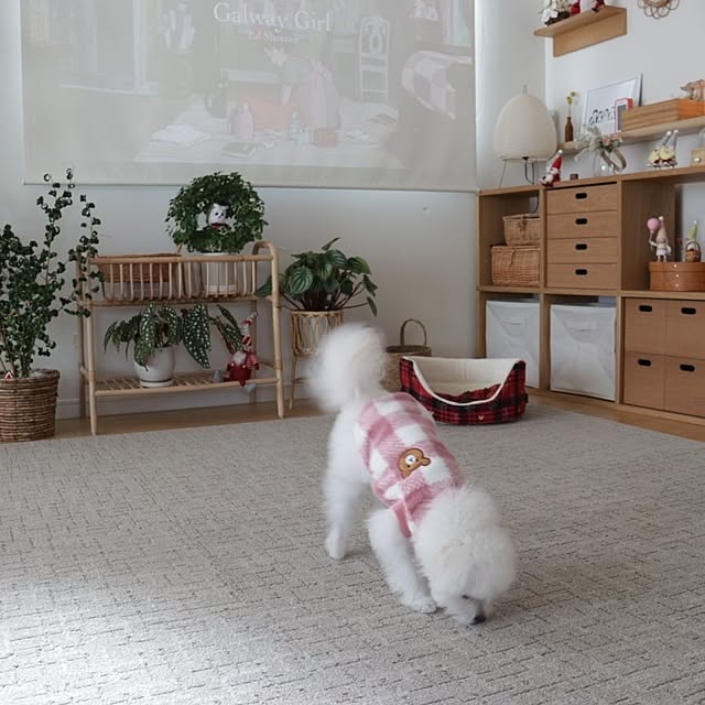 manaさんの部屋