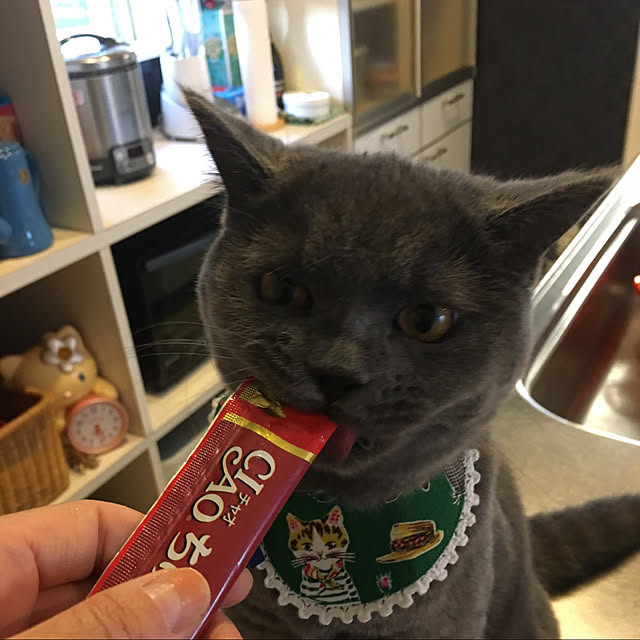 toyoさんの実例写真