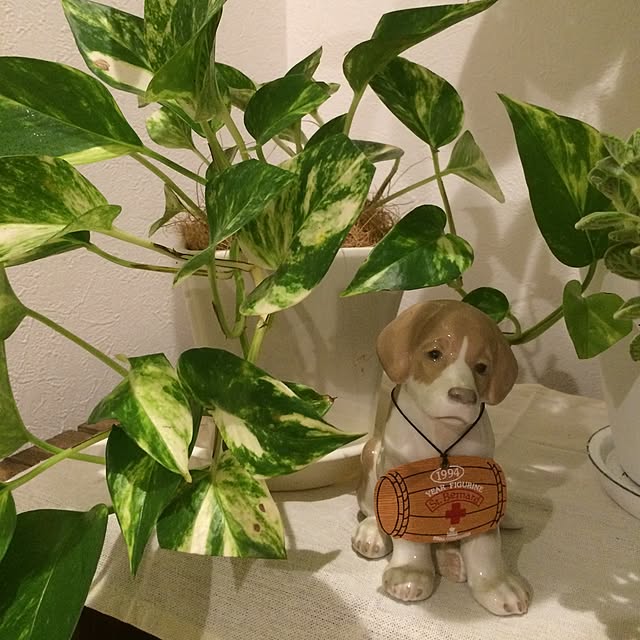 kakamiさんの実例写真