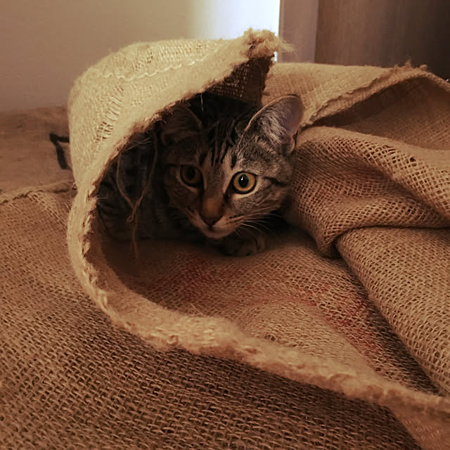 Mさんの実例写真