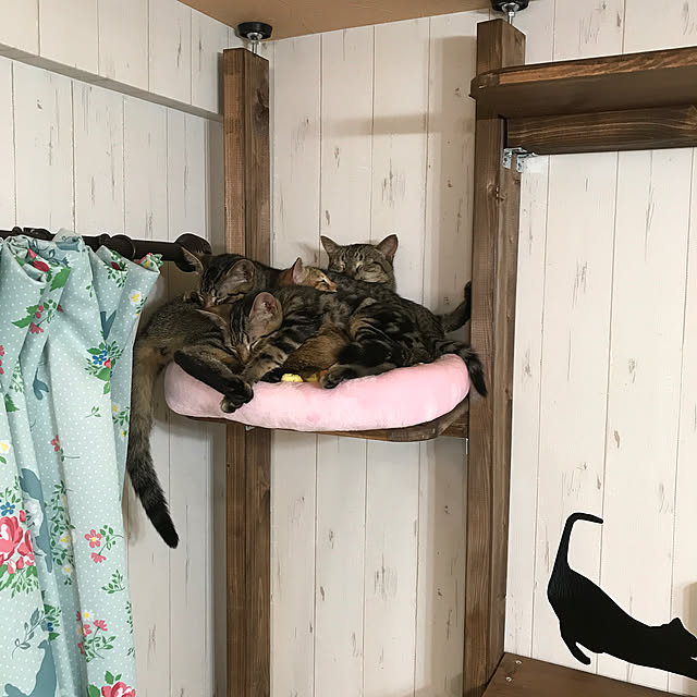 pepeさんの実例写真