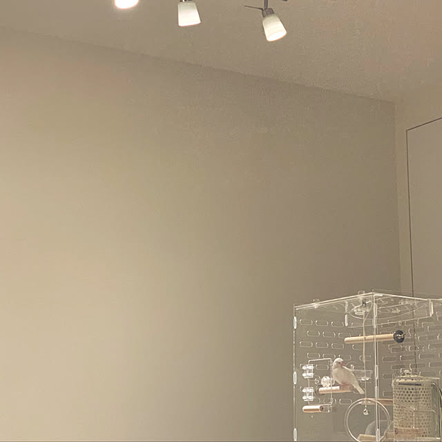 senwhaleさんの実例写真