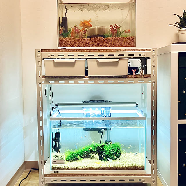 623さんの実例写真