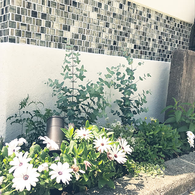 pppppさんの実例写真