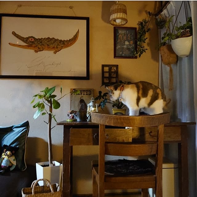 fukuさんの部屋