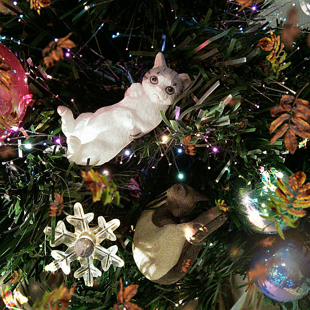 棚/クリスマスツリーのインテリア実例 - 2022-12-04 22:23:07